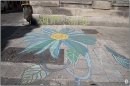 avignon - 07